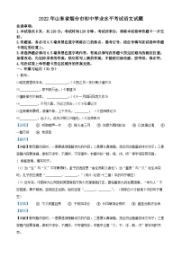 2022年山东省烟台市中考语文真题（解析版）