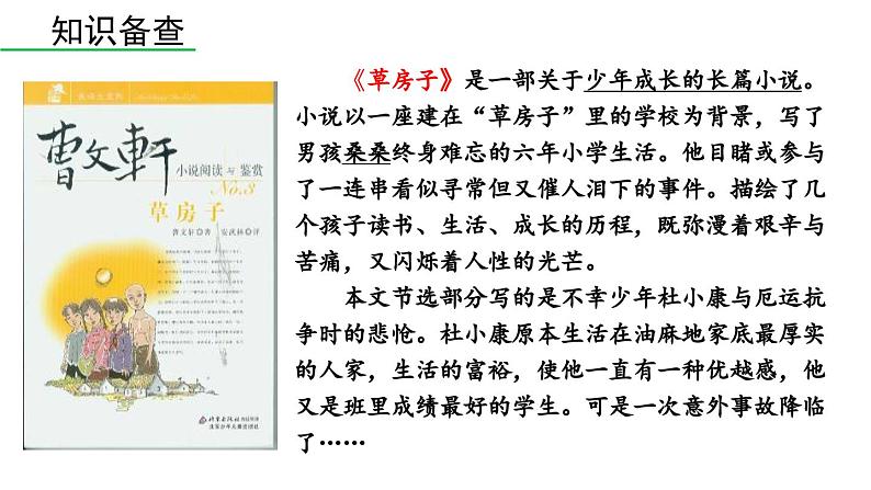 部编版九年级语文上册  17 孤独之旅课件PPT06