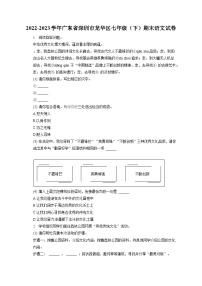 2022-2023学年广东省深圳市龙华区七年级（下）期末语文试卷（含答案解析）