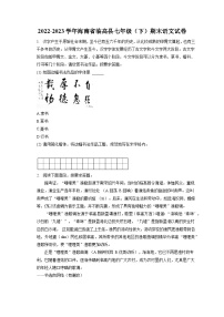 2022-2023学年海南省临高县七年级（下）期末语文试卷（含答案解析）