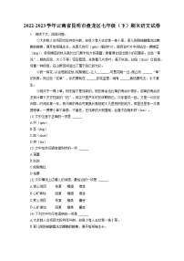 2022-2023学年云南省昆明市盘龙区七年级（下）期末语文试卷（含答案解析）