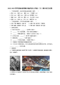 2022-2023学年陕西省渭南市潼关县七年级（下）期末语文试卷（含答案解析）