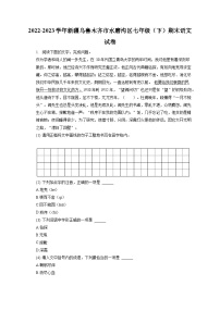 2022-2023学年新疆乌鲁木齐市水磨沟区七年级（下）期末语文试卷（含答案解析）