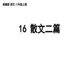 部编版八年级语文上册16《散文二篇》课件PPT