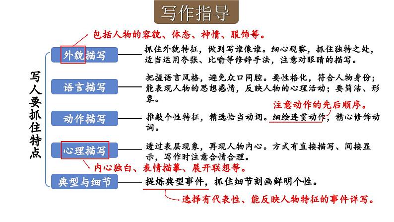 部编版七年级语文上册  第3单元 写作：写人要抓住特点课件PPT05