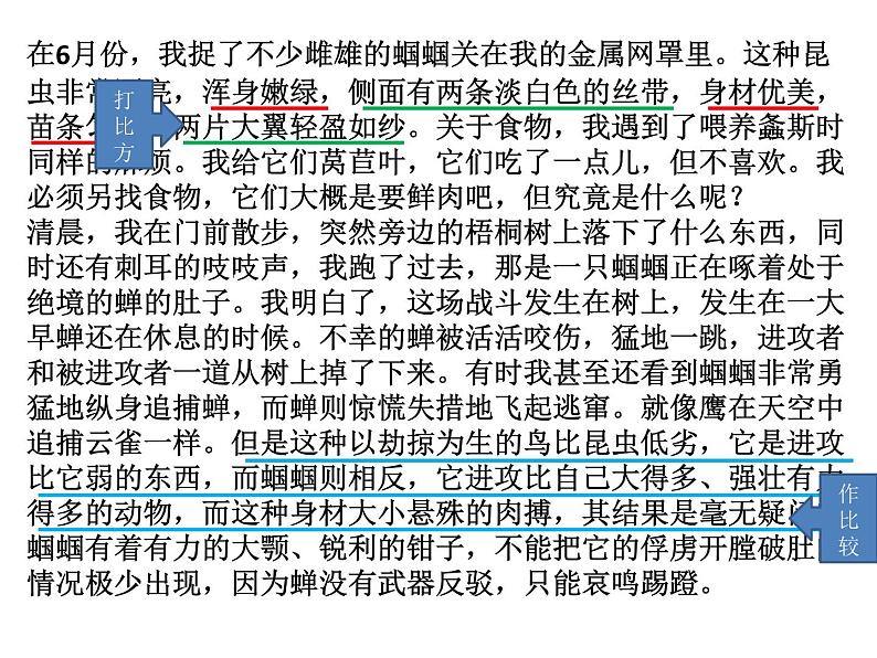 部编版八年级语文上册--单元写作　说明事物要抓住特征（精品课件）第6页