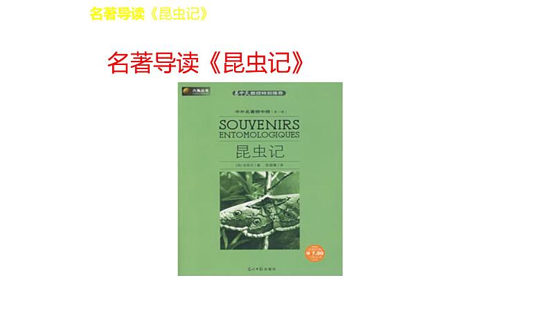 部编版八年级语文上册--名著导读  《昆虫记》 科普作品的阅读（精品课件）第2页