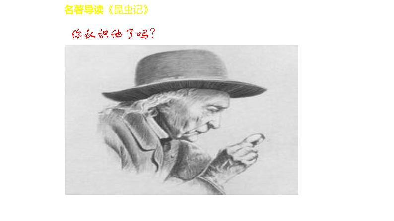 部编版八年级语文上册--名著导读  《昆虫记》 科普作品的阅读（精品课件）第4页