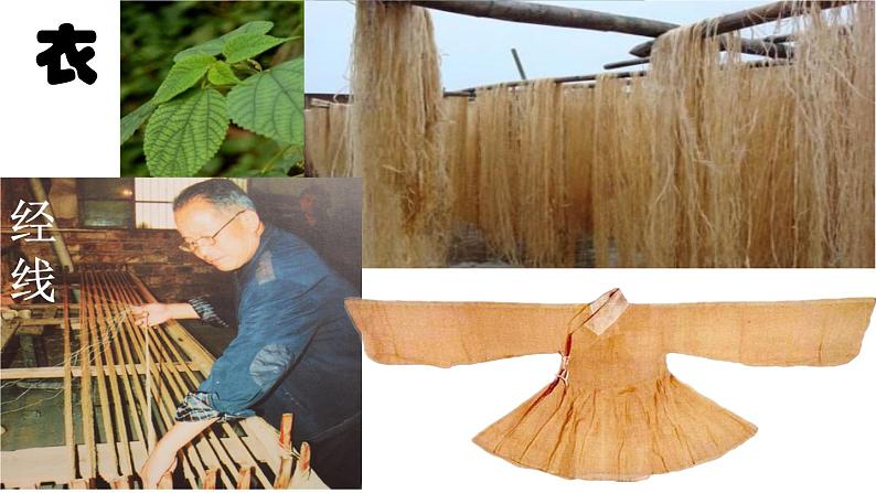 部编版八年级语文上册--综合性学习　身边的文化遗产（精品课件）05