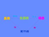 部编版九年级语文上册--22智取生辰纲（课件）