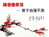 部编版九年级语文上册--综合性学习专练 君子自强不息（课件）