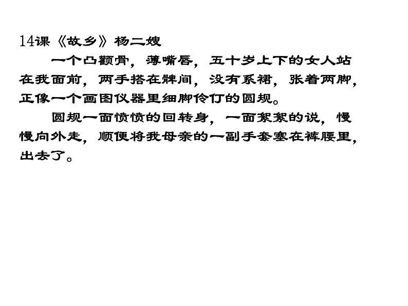 部编版九年级语文上册--综合性学习专练 走进小说天地（精品课件）08