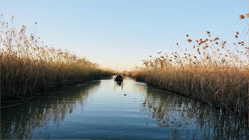 2023九年级语文上册第四单元17孤独之旅课件2新人教版01