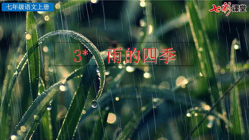 3 雨的四季课件PPT04