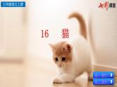 16 《猫》课件PPT