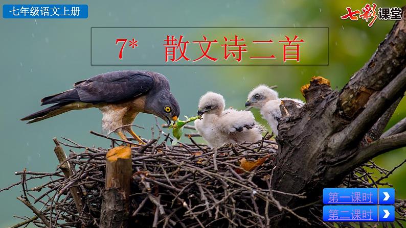 7 散文诗二首课件PPT第2页