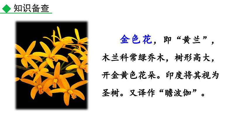 7 散文诗二首课件PPT第6页