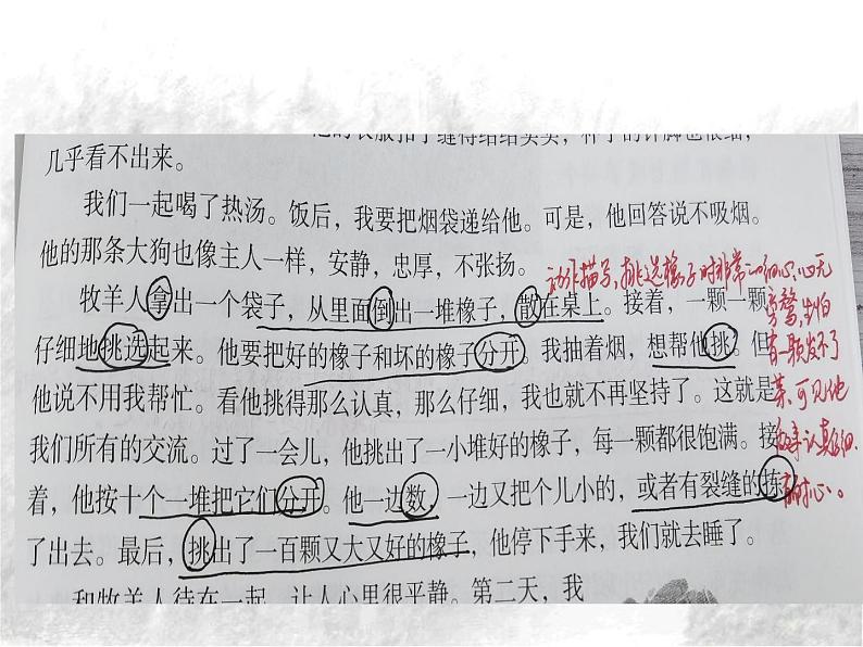 《植树的牧羊人 》课件第8页