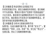人教版八年级语文上册第四单元4-15白杨礼赞教学课件