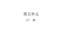 人教部编版八年级上册蝉教学ppt课件