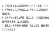 人教版八年級語文上冊專題三詞語運用課件