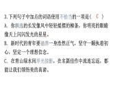 人教版八年級語文上冊專題三詞語運用課件