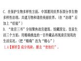 人教版八年級語文上冊專題四病句的辨析與修改課件
