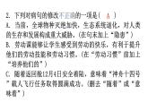 人教版八年級語文上冊專題四病句的辨析與修改課件