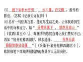 人教版八年级语文上册过关训练四课件