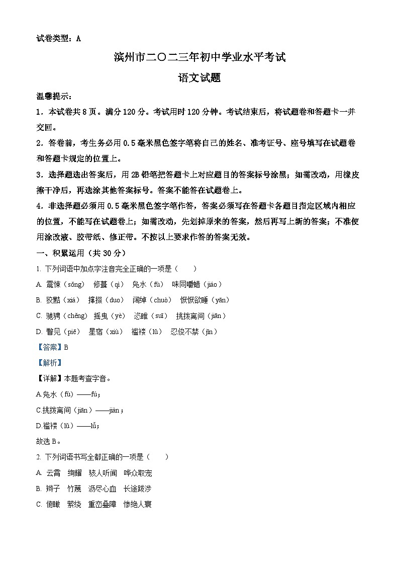 2023年山东省滨州市中考语文真题（解析版）01