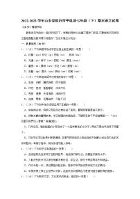 山东省临沂市平邑县2022-2023学年七年级下学期期末语文试卷