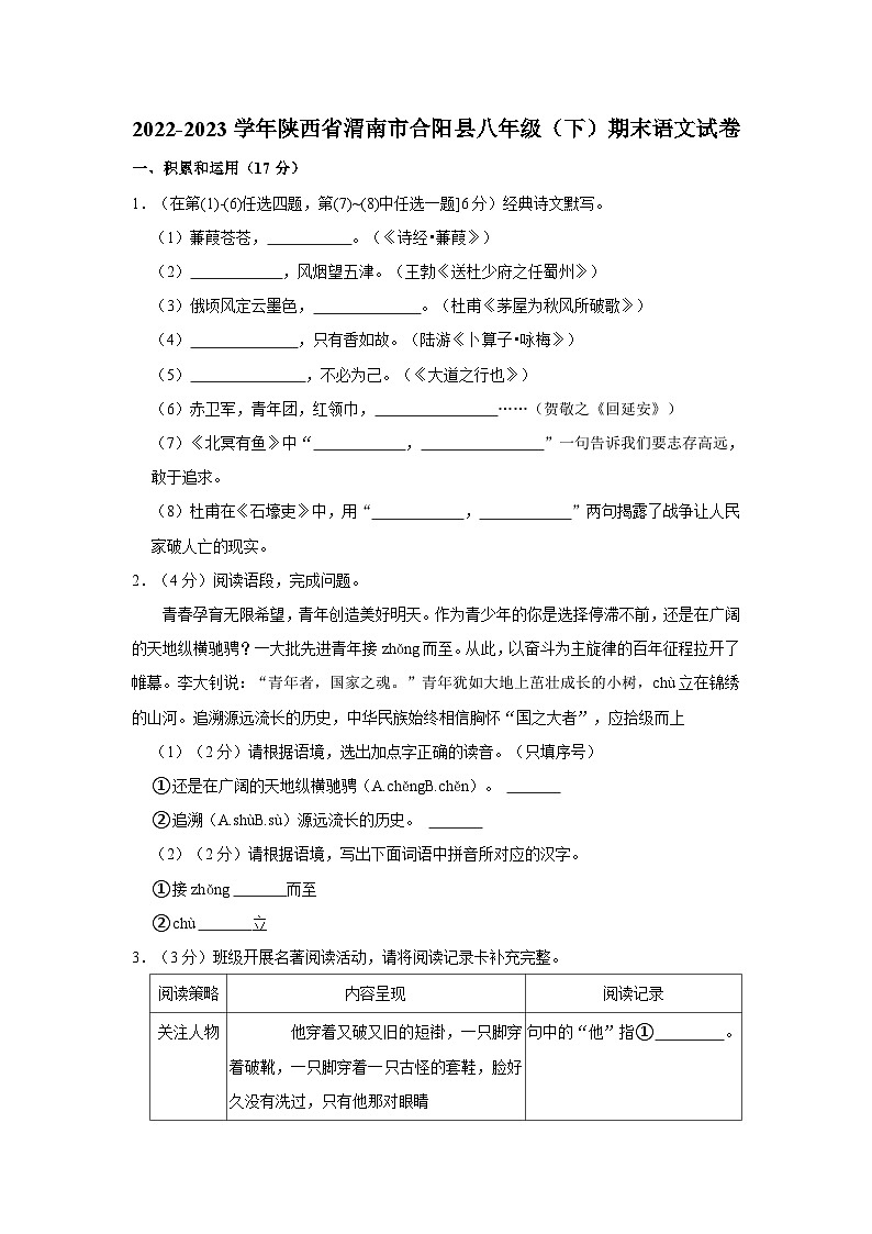 陕西省渭南市合阳县2022-2023学年八年级下学期期末语文试题01