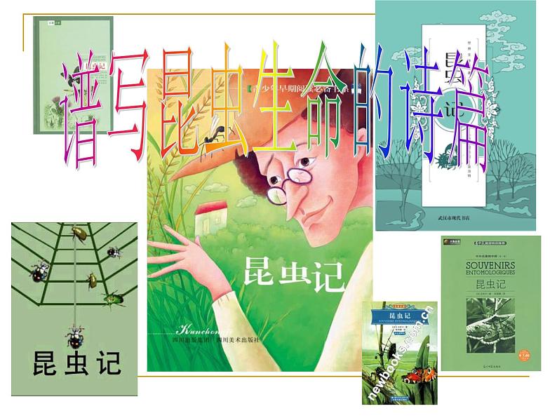 部编本八上名著导读：《昆虫记》课件03