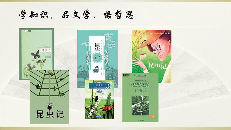 名著《昆虫记》复习课件第2页