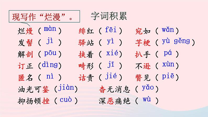 2023八年级语文上册第二单元6藤野先生配套课件（部编版）06