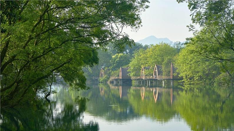 2023八年级语文上册第三单元12与朱元思书精品课件（部编版）第6页