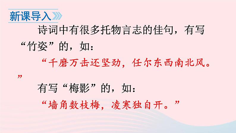 2023八年级语文上册第四单元15白杨礼赞课件（部编版）01