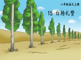 2023八年级语文上册第四单元15白杨礼赞课件（部编版）