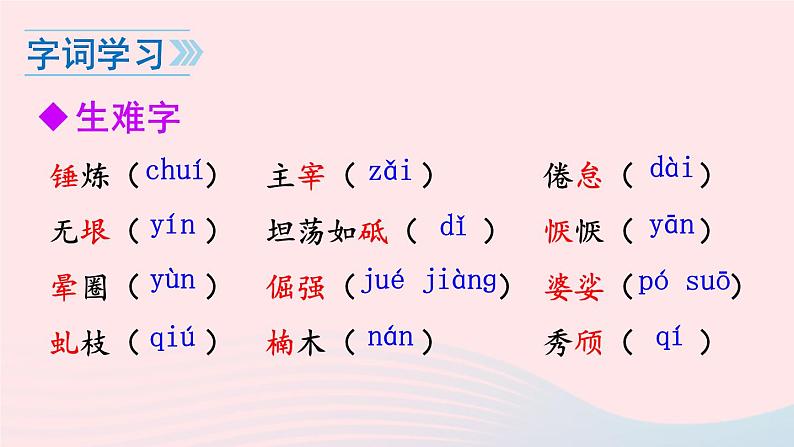 2023八年级语文上册第四单元15白杨礼赞课件（部编版）08