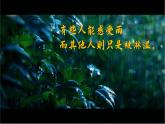 2023八年级语文上册第四单元17昆明的雨精品课件（部编版）