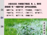 2023八年级语文上册第四单元17昆明的雨精品课件（部编版）