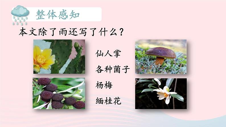 2023八年级语文上册第四单元17昆明的雨课件2（部编版）06