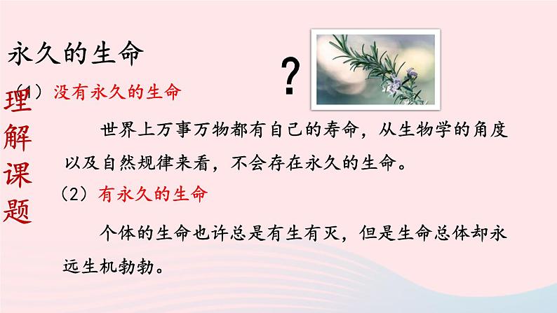 2023八年级语文上册第四单元16散文二篇第一课时课件（部编版）第5页