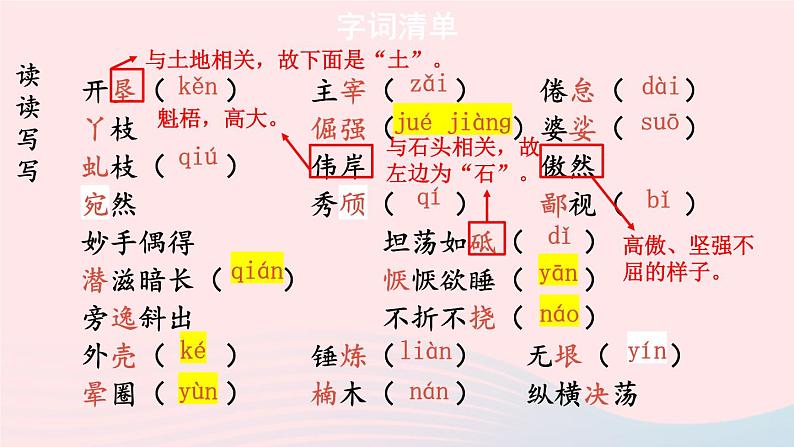 2023八年级语文上册第四单元15白杨礼赞考点精讲课件（部编版）07