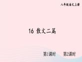 2023八年级语文上册第四单元16散文二篇配套课件（部编版）