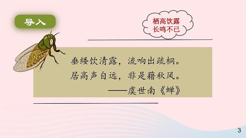 2023八年级语文上册第五单元21蝉课件2（部编版）03