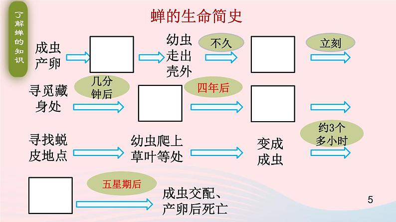 2023八年级语文上册第五单元21蝉课件2（部编版）05