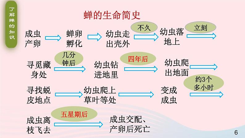 2023八年级语文上册第五单元21蝉课件2（部编版）06