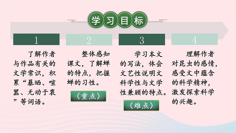 2023八年级语文上册第五单元21蝉考点精讲课件（部编版）03