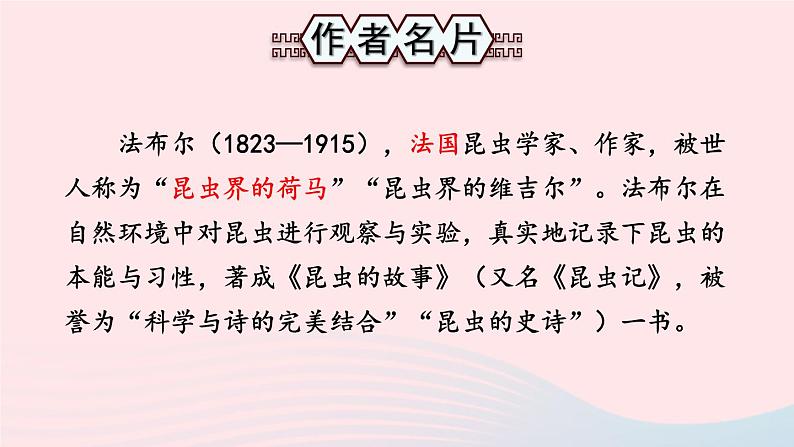 2023八年级语文上册第五单元名著导读昆虫记科普作品的阅读考点精讲课件（部编版）03